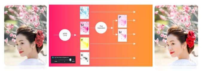 (Gambar 2: Gamut warna yang dihasilkan dari warna spesial pink)