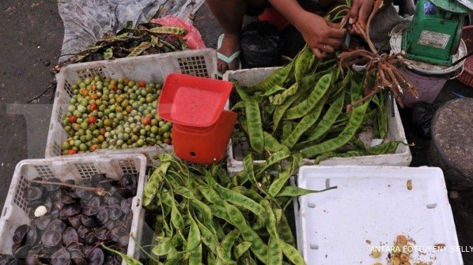 Ini dua penyebab tingginya harga jengkol