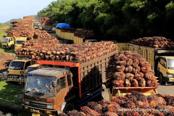 Indonesia Cuts Maximum Palm Oil Export Levy to $200, But to Rise in August