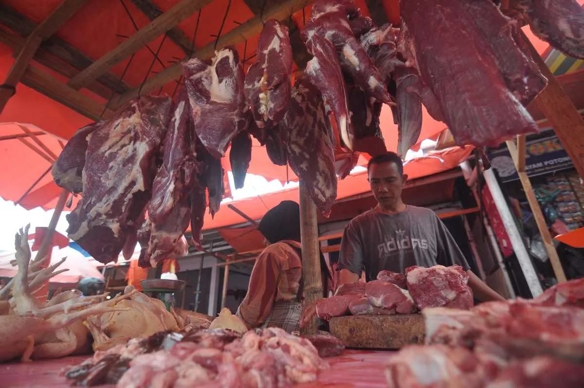 Harga Pangan Malut : Daging Sapi Murni Naik, Jagung Turun Drastis, Jumat (13/12)