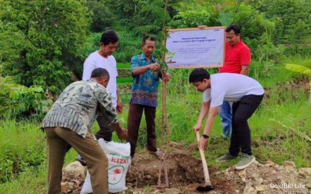  Menutup Tahun 2024,  BRI Life Laksanakan Serangkaian Kegiatan TJSL  