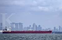 Travel Bubble Indonesia dan Singapura Resmi Dibuka