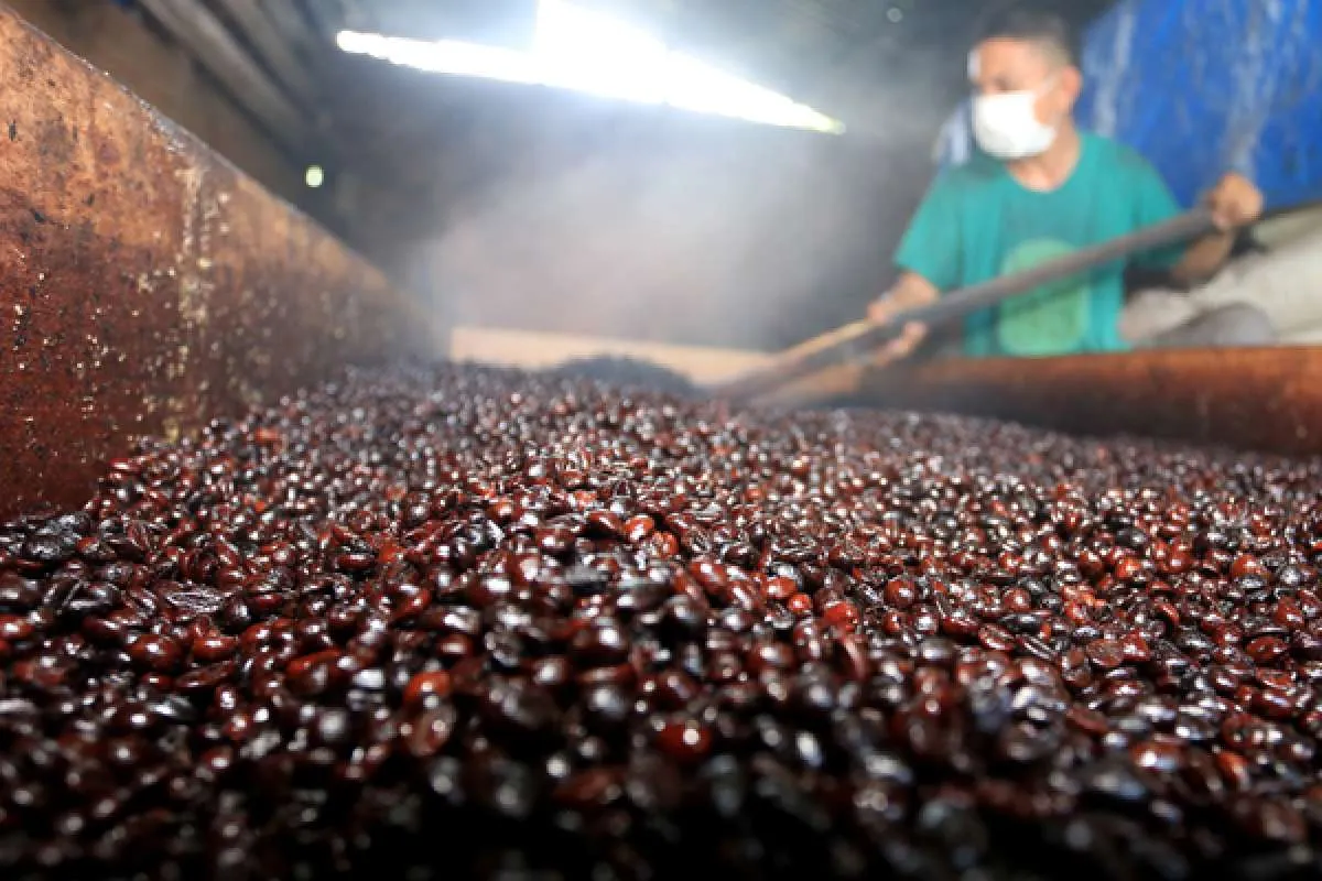 Bisnis kopi kemasan turut terpengaruh pandemi Covid-19