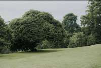 Rekomendasi Tempat Wisata Hidden Gem di Bandung yang Wajib Dikunjungi