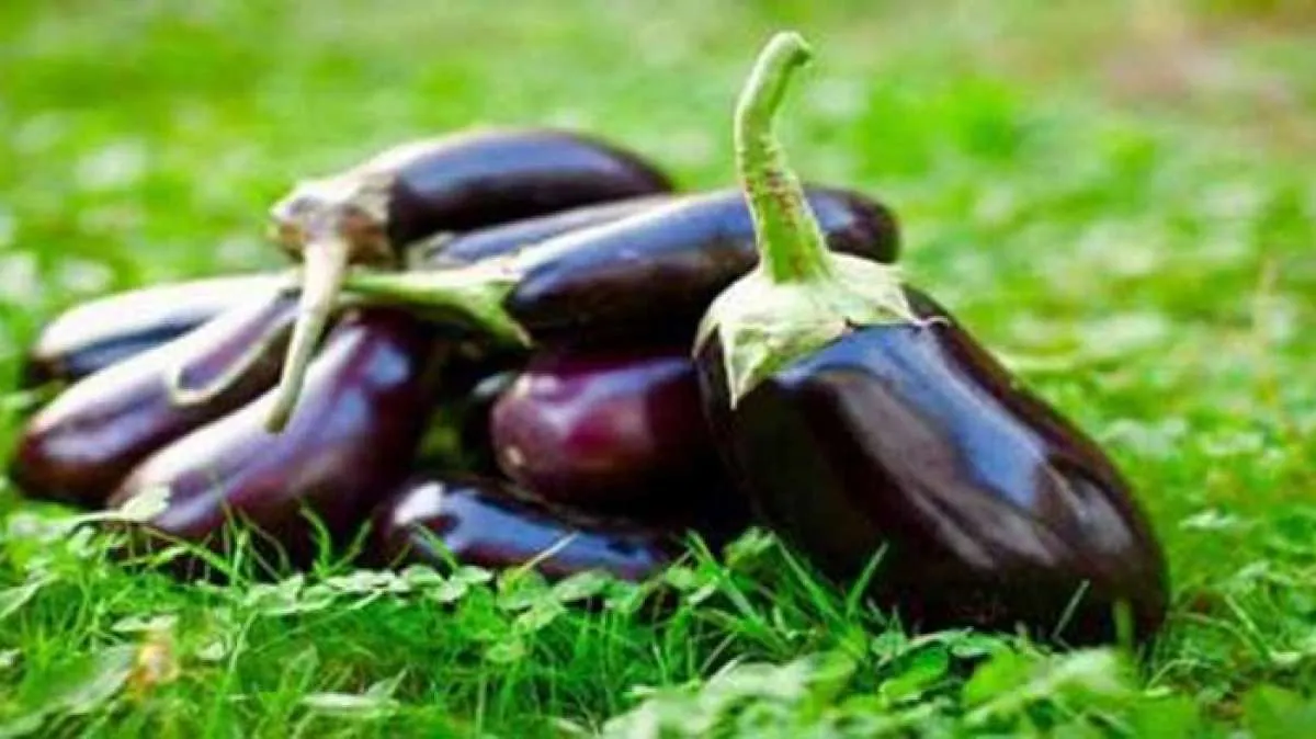Ini buah dan sayur yang baik dikonsumsi para penderita diabetes melitus 