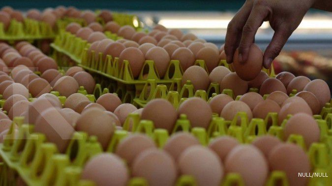 QL Group genjot produksi telur ayam