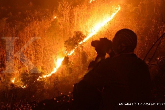 Hari tanam pohon, Jokowi ingatkan kebakaran hutan