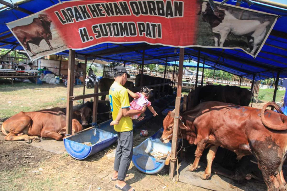 Cuaca Jawa Tengah (27/6) Cerah Berawan, Potensi Hujan Ringan Banyumas