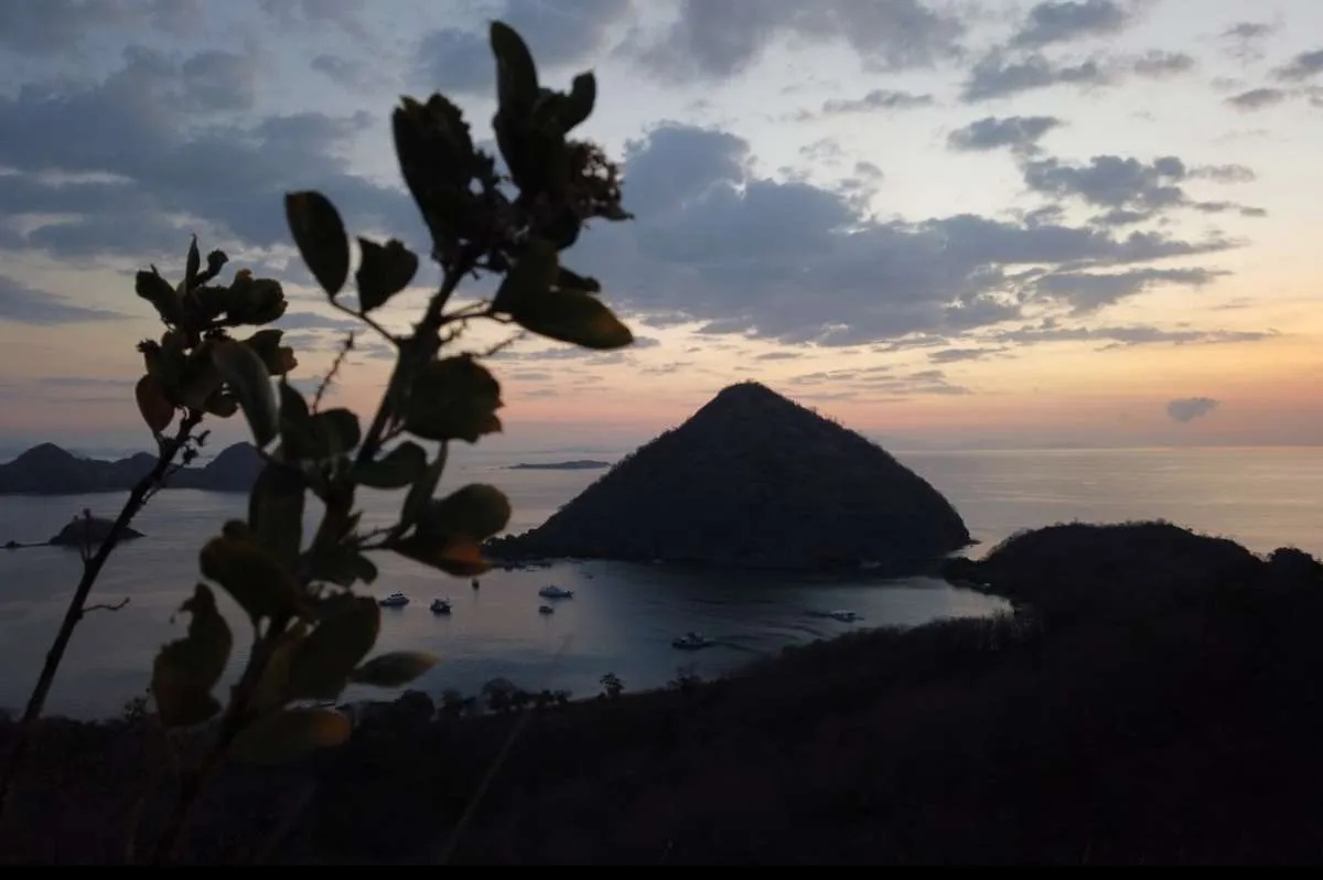 Taman Nasional Komodo tidak ditutup, tapi jumlah pengunjungnya dibatasi