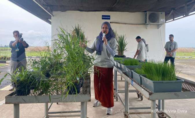 Luncurkan Pengendali Gulma Padi, Syngenta Kenalkan Produk Topmost di Tiga Lokasi