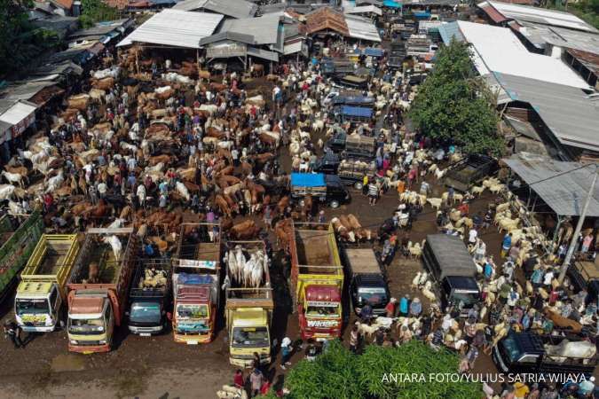 Potensi nilai ekonomi kurban Indonesia