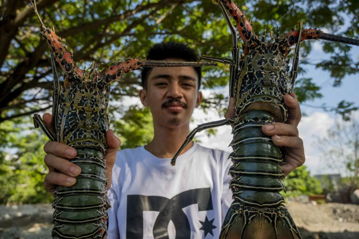 KKP Berhasil Selamatkan Rp 192 Miliar Nilai Sumber Daya Ikan Sepanjang 2021