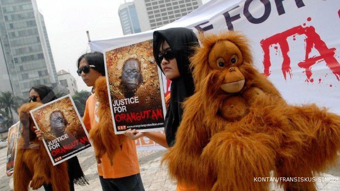 Kayung Agro Lestari peduli orangutan