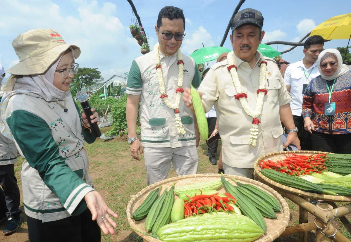 HUT ke-35, Ewindo Luncurkan 27 Varietas Unggul Baru