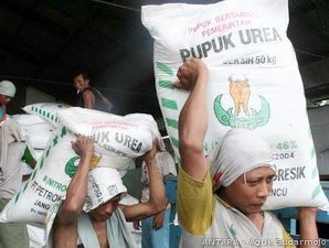 213.000 Ton Pupuk Tak Akan Terserap Tahun Ini