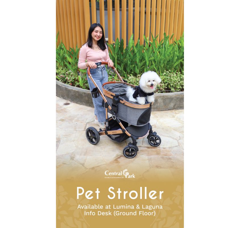 Kontan - Central Park KIlas Online