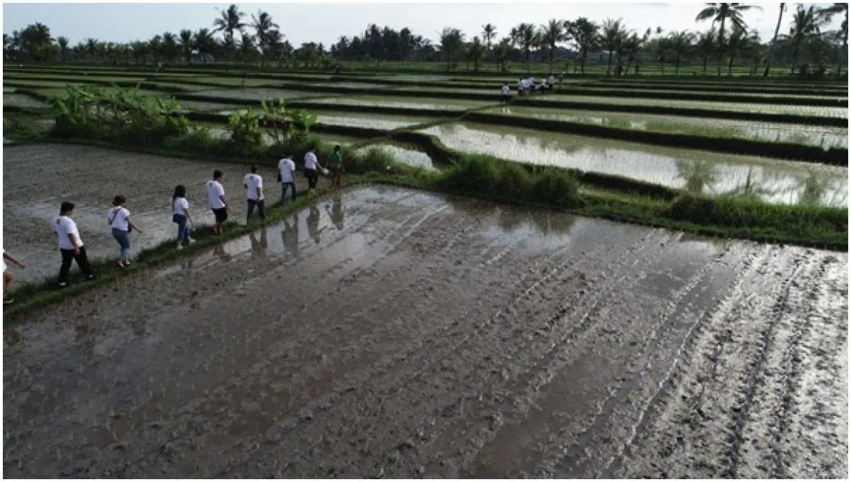 Diageo Indonesia raih sertifikasi Great Place to Work