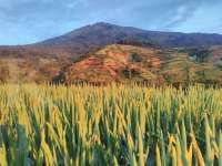 Menangkap momen sunrise dan sunset di Mangli Sky View Magelang 