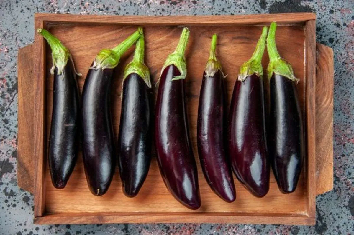 Menjaga Sistem Pencernaan, Ini 6 Manfaat Terong Untuk Kesehatan