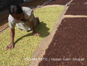 Pasokan seret, harga cengkeh melangit