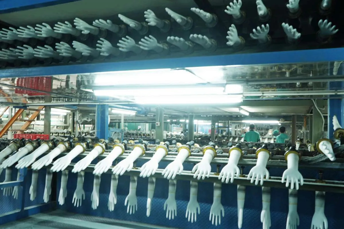 IRGMA Yakin Perpanjangan HGBT Akan Mengangkat Kinerja Industri Sarung Tangan Karet