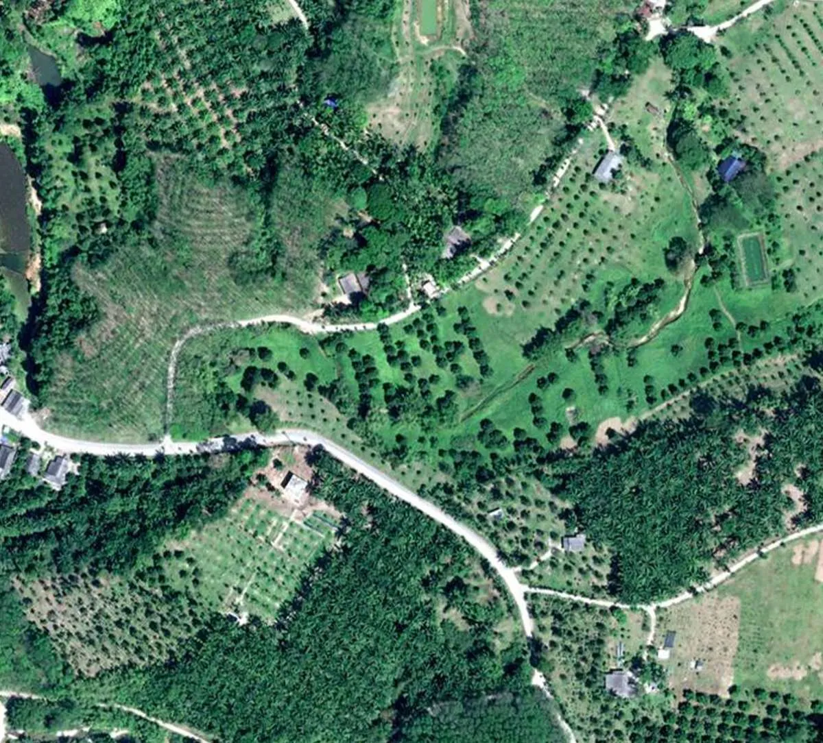 Nestle Mulai Gunakan Citra Satelit Canggih Airbus dalam Upaya Reboisasi Perusahaan