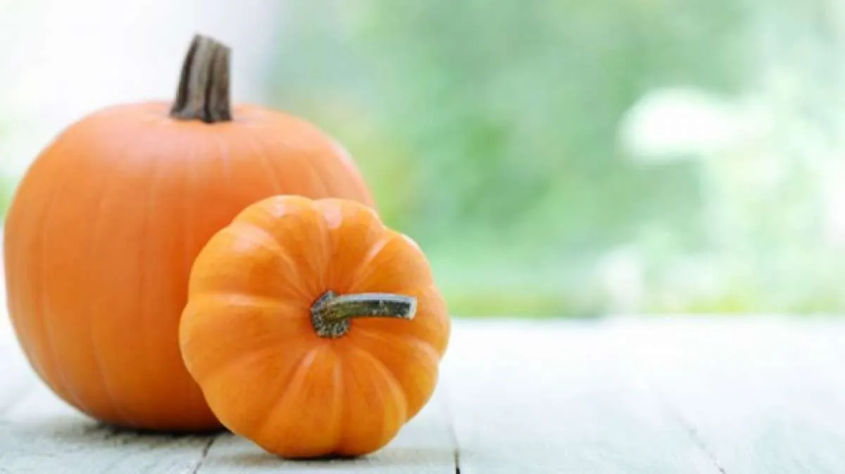 Menjaga Kesehatan Mata, Ini Manfaat Waluh untuk Kesehatan Tubuh