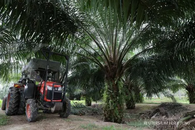 India's curbs on Malaysian palm imports stir up edible oil trade