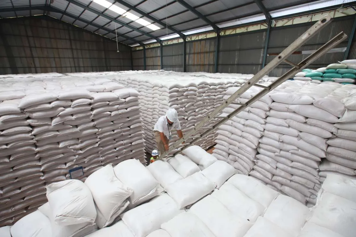 Target Bulog 2026 Naik Tajam: Serap 4 Juta Ton Beras, Bangun 100 Gudang