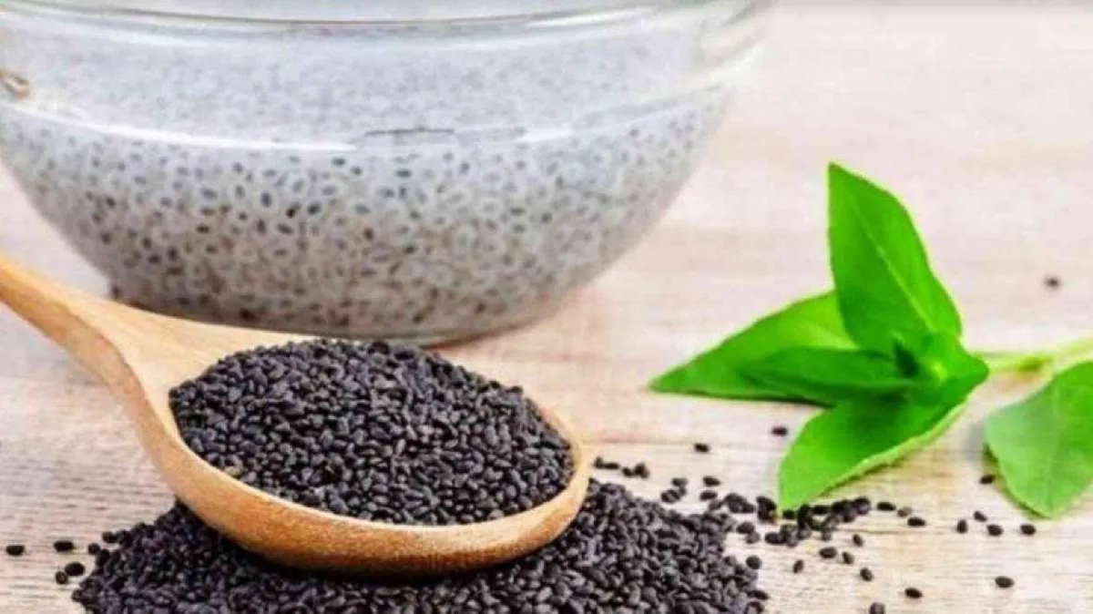 Bisa Memicu Kanker Prostat, Ini 4 Efek Samping Biji Chia Bila Dimakan Berlebihan