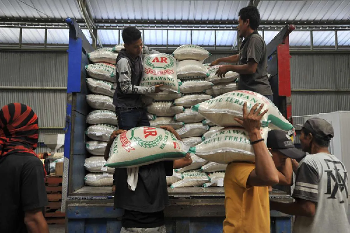Stok Berlebih, Ikappi: Harga Beras Masih Aman