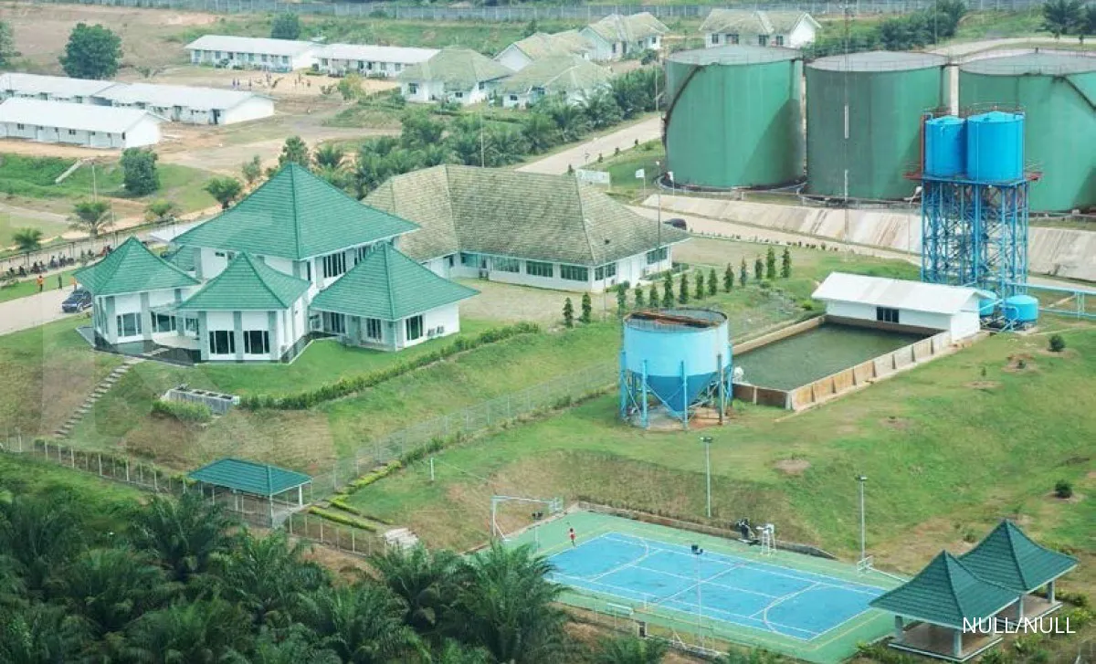 Gozco Plantations (GZCO) Alokasikan Capex Rp 95 Miliar pada Tahun 2023