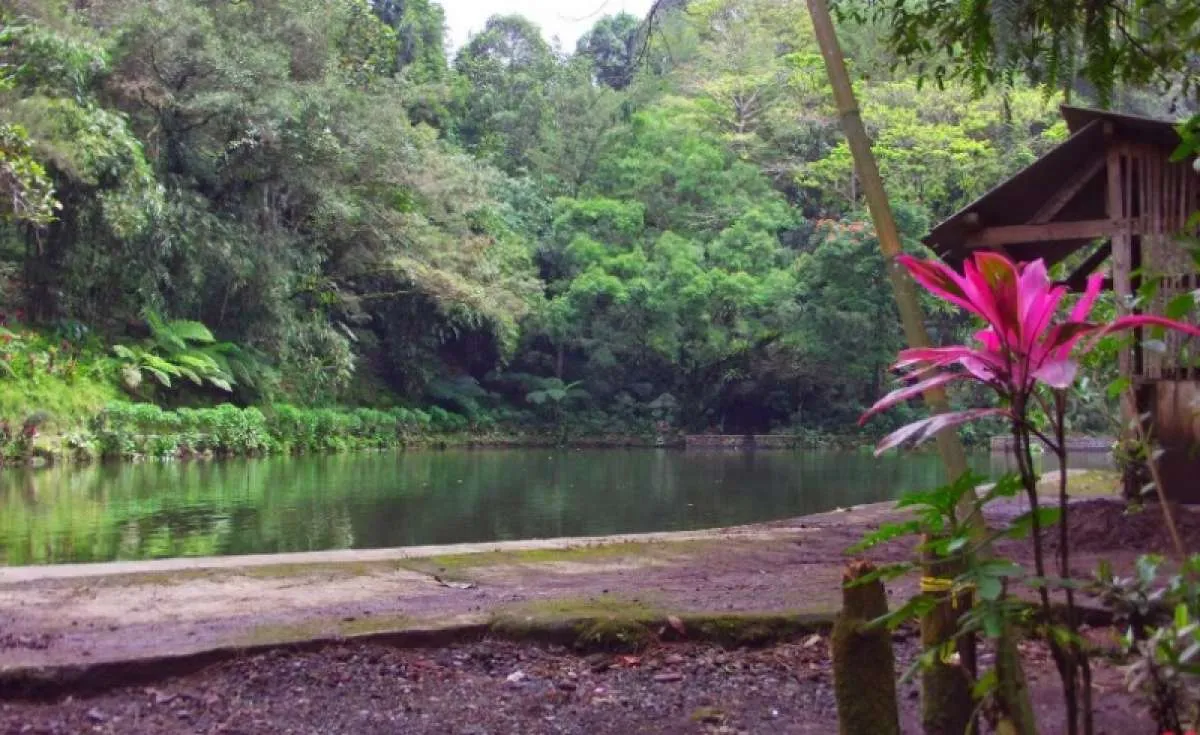Sejarah Rowo Bayu Banyuwangi, Tempat yang Diyakini Lokasi KKN di Desa Penari