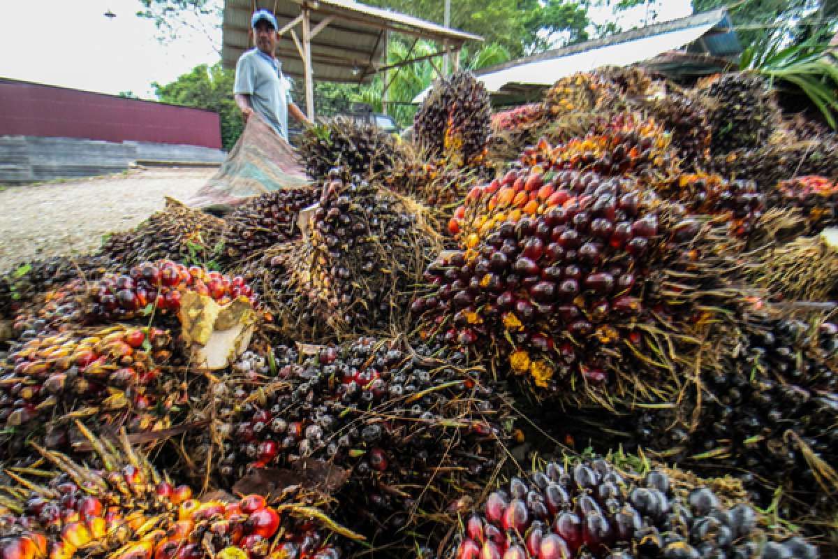 Bank Sasar Sektor Industri Prospektif Untuk Jaga Kualitas Kredit