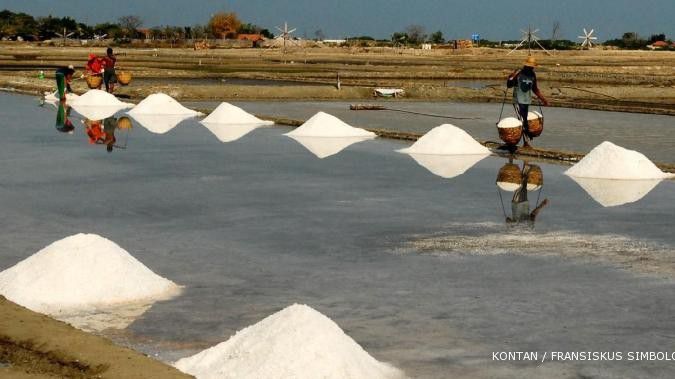 PT Garam tuntaskan impor garam akhir bulan Ini