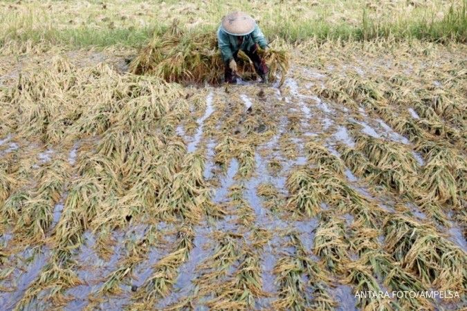 Peringatan Dini Cuaca Besok (19/8) Hujan Lebat, Status Waspada Bencana Provinsi Ini