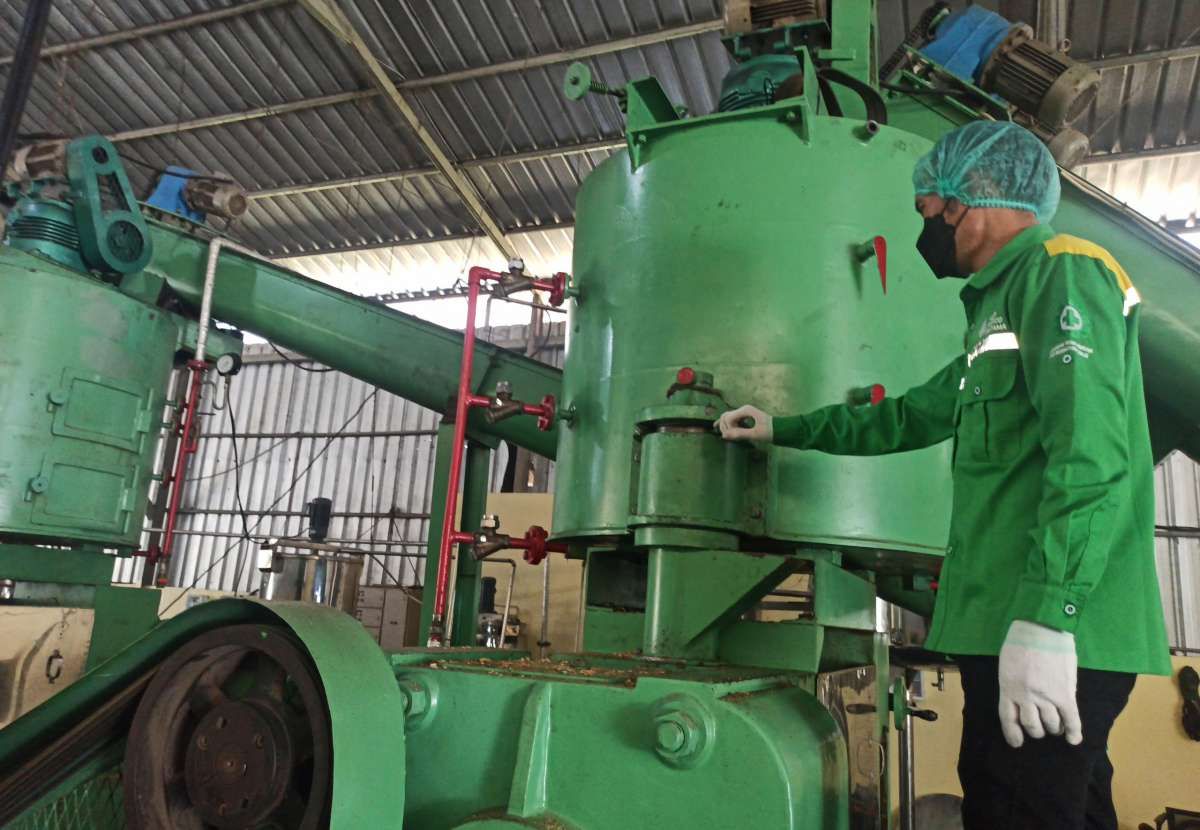 Kepesatan Saham IPPE Melampaui Kenaikan Harga Komoditas Minyak Kelapa