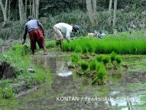 Per Agustus 2011, sawah baru yang dicetak baru 22.000 hektare