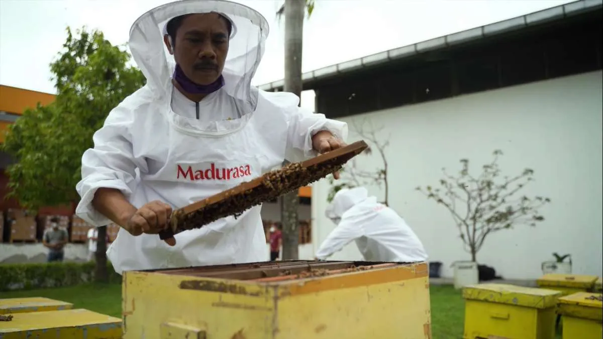 Yuk! Intip Rekomendasi Madu Murni dari Para Ibu di Musim Penghujan