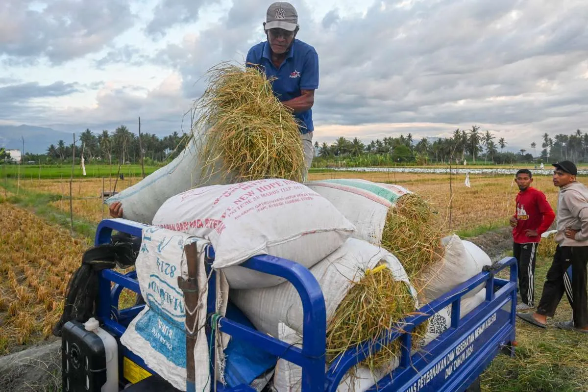 Agar Tanaman Tetap Sehat, Syngenta Indonesia Dorong Inovatif Berbasis Plinazolin