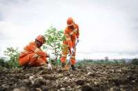 Tambang Berkelanjutan, Weda Bay Nickel Reklamasi 84,86 Hektare Lahan Bekas Tambang