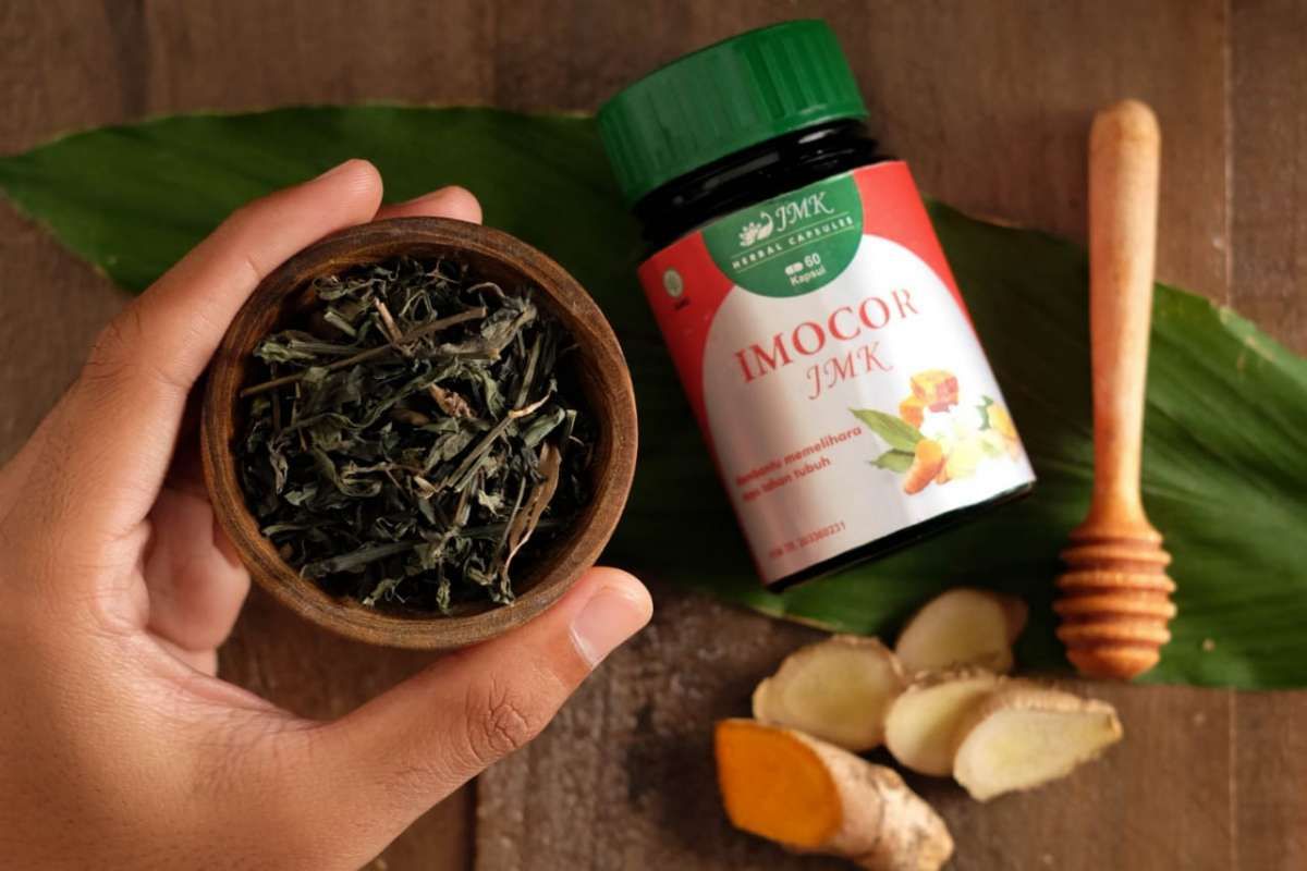 G20 Jadi Ajang Mengenalkan Wisata Kesehatan