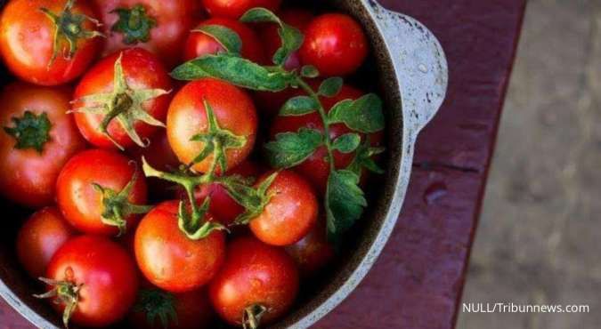 Mungil dan Kaya Vitamin, 5 Manfaat Tomat Ceri untuk Kesehatan