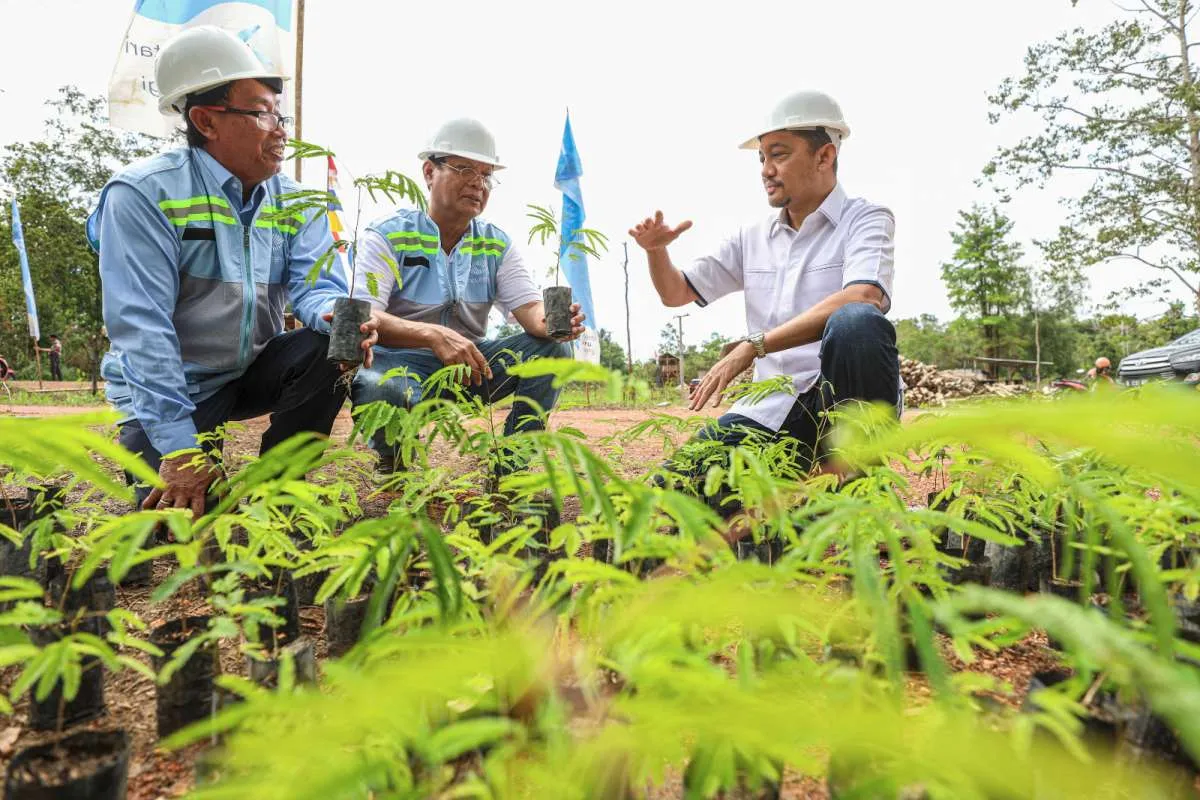Pasokan Bahan Baku Jadi Tantangan Terbesar Pengembangan Usaha Biomassa