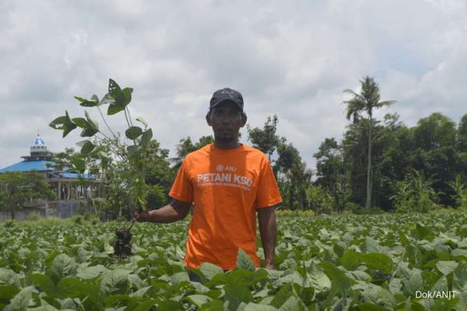 Semester I, Anak Usaha Austindo (ANJT) Raup Pendapatan Penjualan Edamame Naik 178%