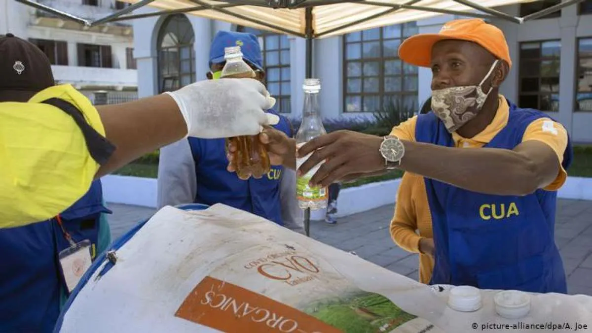 Tanaman Herbal Artemisia Obat Mujarab untuk COVID-19?