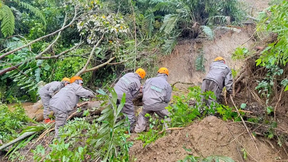 Gugatan Perdata dari Kementerian LH Minim Punya Daya Paksa