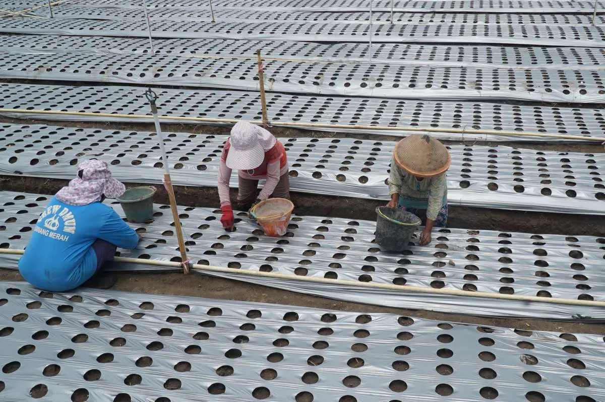 Jadwal Imsak Tulungagung: Puasa Lancar Sabtu (28/2), Ini Tips Sahur Sehat