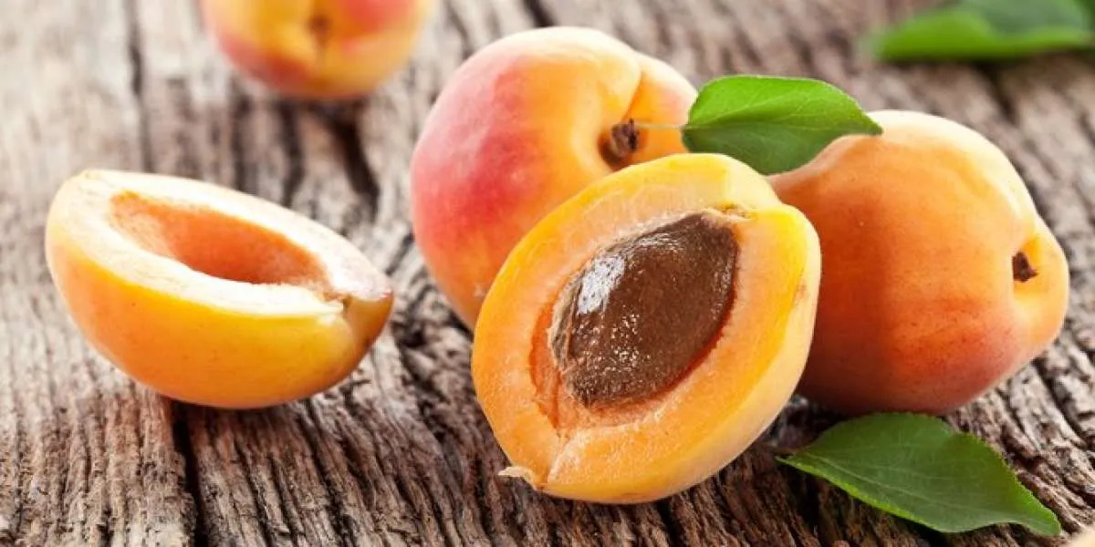 Simak 10 Manfaat Buah Aprikot untuk Kesehatan yang Jarang Diketahui