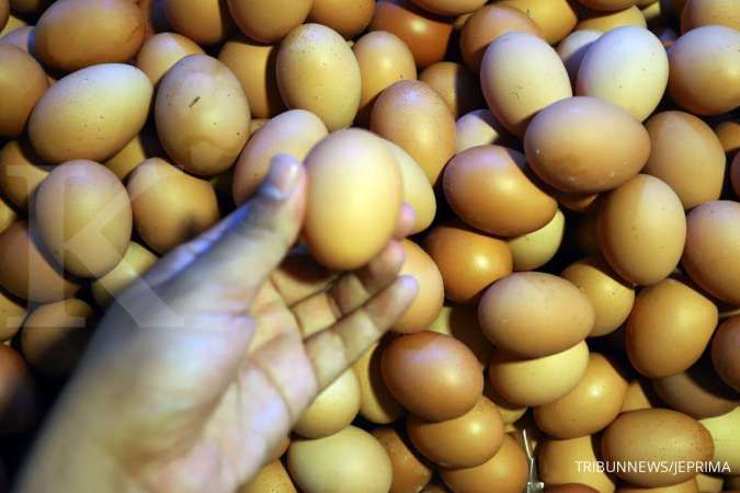 Harga telur ayam masih tinggi, sehari 16 daerah naik harga (22/6)